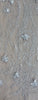 440300W3852T l.skin