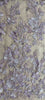 440300 W6015T Lavender
