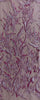 440300 W4316T d. rose